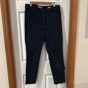LOFT Navy Blue the skinny Pants
